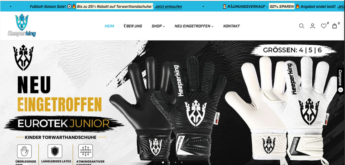 eCommerce store development project
